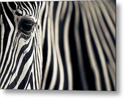 East Africa Metal Prints