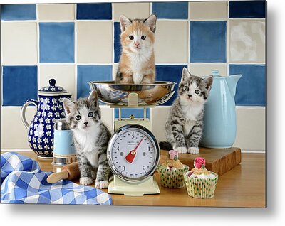 Designs Similar to Three Baking Kittens