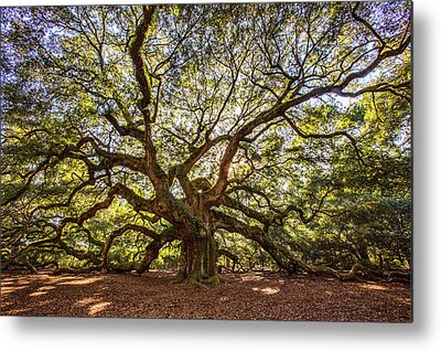 Mystical Angel Oak Tree Art Print by Louis Dallara - Pixels