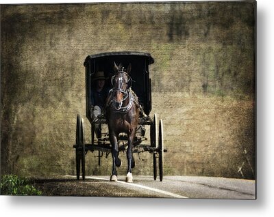 Amish Horse Photos Metal Prints