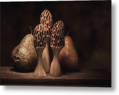 Morel Mushrooms Metal Prints