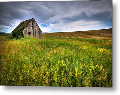 Swan Valley Metal Prints