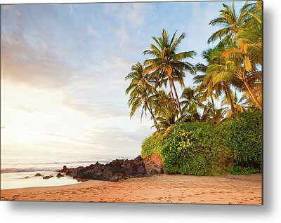 Palm Tree Sunset At Napili Point C Maui Art Print Home Decor Wall Art Poster 