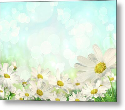 Abstract Daisy Metal Prints