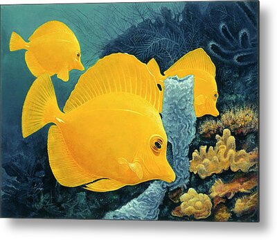 Yellow Tang Metal Prints