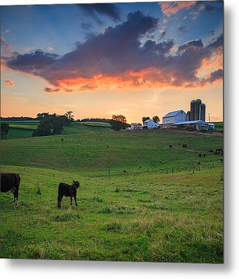 Designs Similar to Farm life in Beaver county
