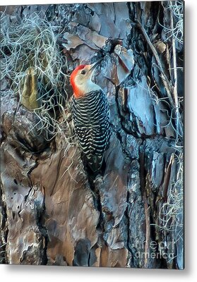 Wally Walrus - Woody Woodpecker Metal Print for Sale by luisp96