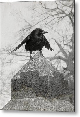 Gothicolors With Crows Metal Prints