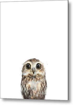Owls Metal Prints