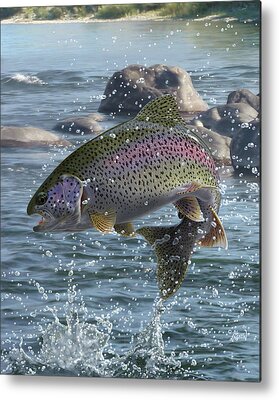 Trout Metal Prints