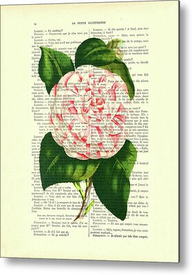 White Camellia Metal Prints
