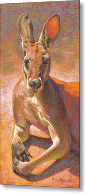 Wallaby Metal Prints