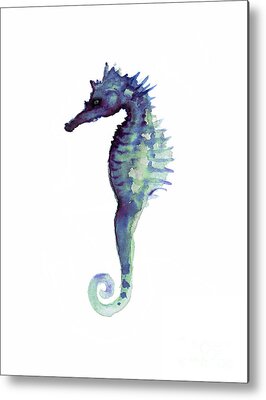 Seahorse Metal Prints