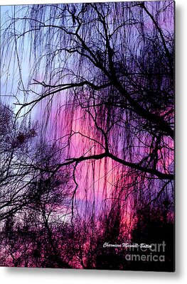 Charmiene Maxwell-batten Metal Prints