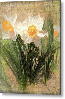 Daffy Mixed Media Metal Prints