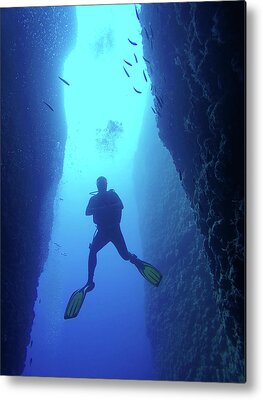 Aquanaut Art Fine Art America Aquanaut Art Fine Art America