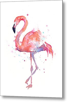 Flamingo Metal Prints