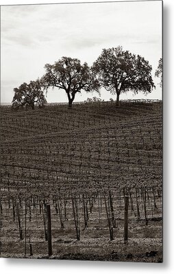 Paso Robles Metal Prints