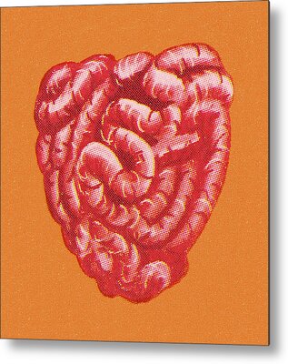 Small Intestine Metal Prints