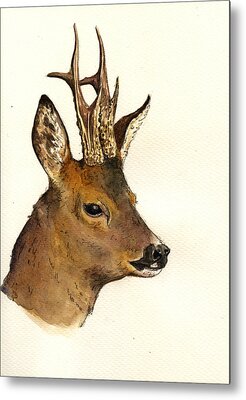 Roe Deer Metal Prints