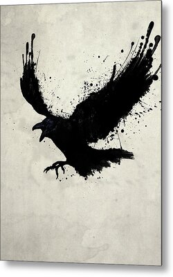 Raven Metal Prints