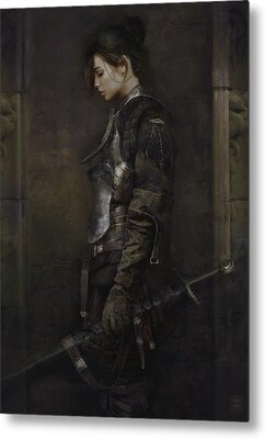 Armor Metal Prints