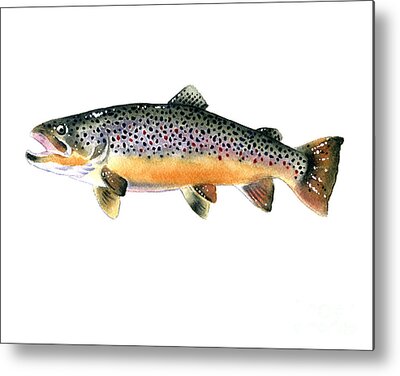 Trout Framed Metal Prints