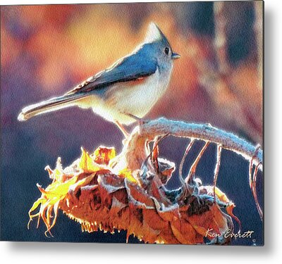 Tufted Titmouse Digital Art Metal Prints