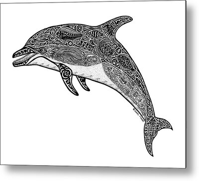 Dolphin Drawings Metal Prints