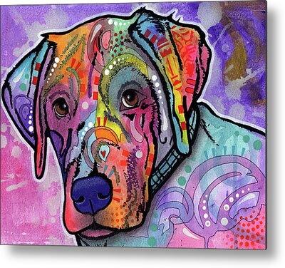 Mixed Labrador Retriever Metal Prints