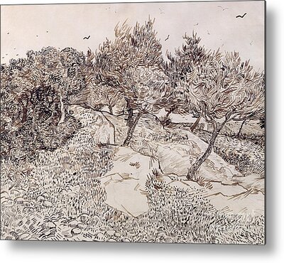Gogh Drawings Metal Prints