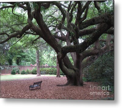 Mystical Angel Oak Tree Art Print by Louis Dallara - Pixels