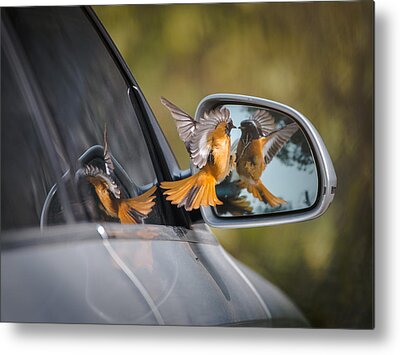 Rearview Mirror Metal Prints