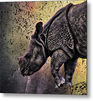 One Horned Rhino Mixed Media Metal Prints