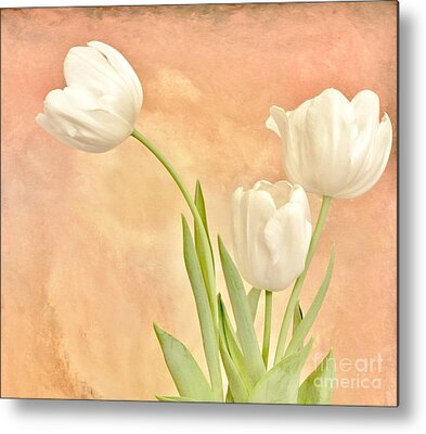 Designs Similar to Tulips White by Marsha Heiken