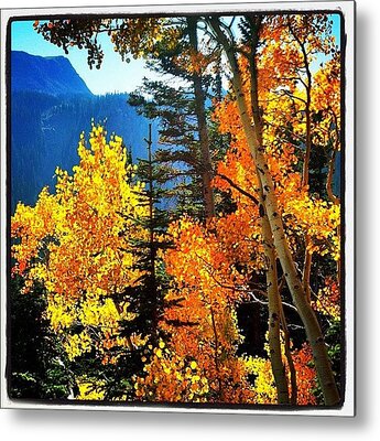 Nederland Metal Prints