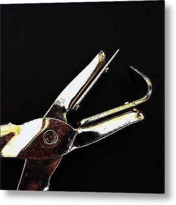 Pincers Metal Prints