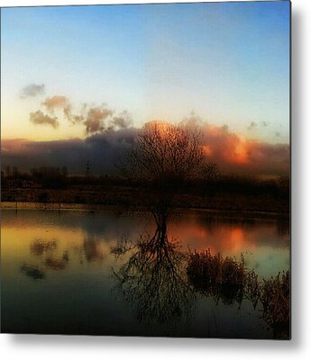 Evening Light Metal Prints