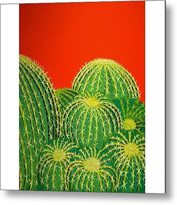 Barrel Cactus Metal Prints