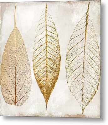 Silver Leaf Metal Prints