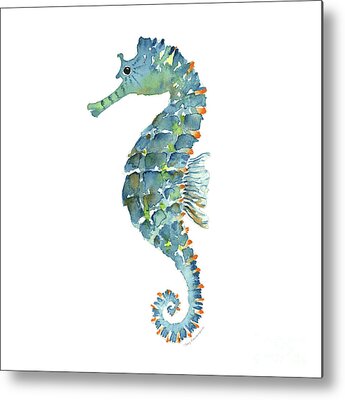 Seahorses Metal Prints