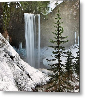 Mt. Hood National Forest Metal Prints