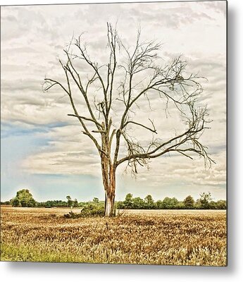 Designs Similar to Louisiana Country Roads #hdr