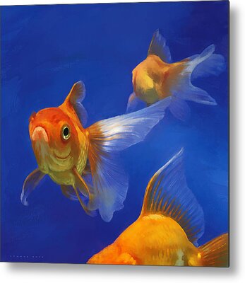 Goldfish Metal Prints