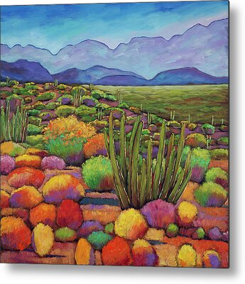 Southwest Landscape Metal Prints