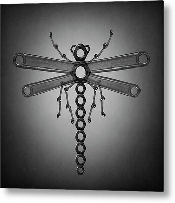 Metal Dragonfly Metal Prints