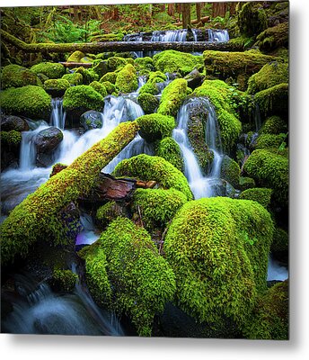 Waterfall Moss Wall Art, Enchanted forest art