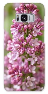 Lilac Bud Opening Galaxy Cases