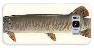 Designs Similar to Muskellunge  by Mountain Dreams