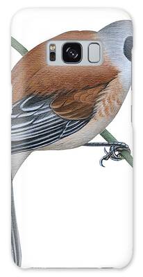 No People Vertical Side View Full Length One Person One Animal Animal Galaxy Cases